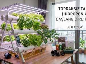 Geleceğin Çiftçiliği Evinizde: Topraksız Tarım (Hidroponik) Başlangıç Rehberi
