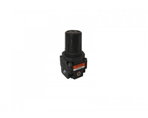 1/4" Regülator AR2000