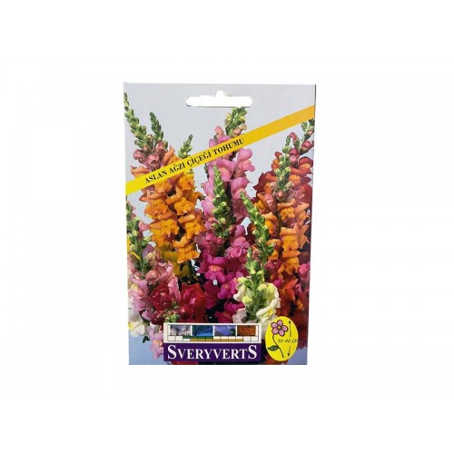 ASLAN AĞZI ÇİÇEĞİ TOHUMU