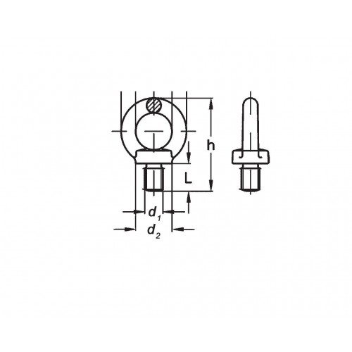 Aybolt Erkek 22 mm DIN 580 Aybolt Erkek 22 mm DIN 580