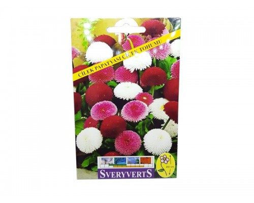 ÇİLEK PAPATYA TOHUMU