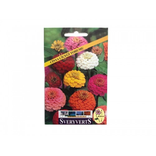 KATMERLİ ZİNNİA ÇİÇEĞİ TOHUMU