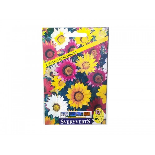 KAZANYA ÇİÇEĞİ TOHUMU