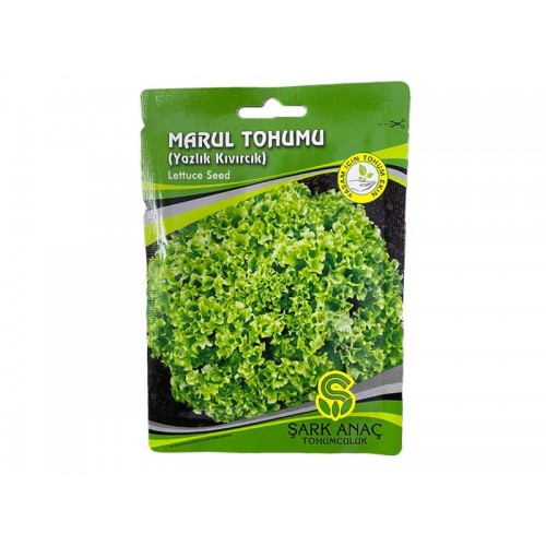 Kıvırcık Marul Tohumu