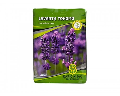LAVANTA TOHUMU