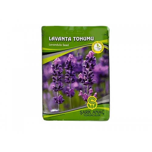 LAVANTA TOHUMU LAVANTA TOHUMU