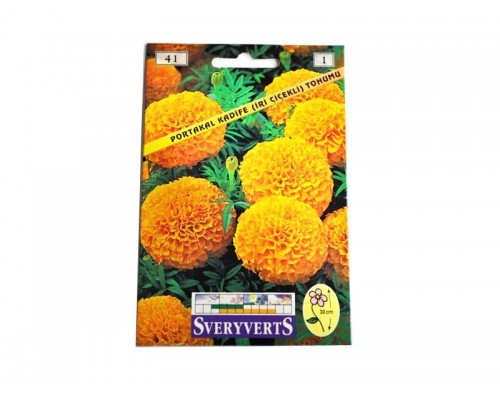 KADİFE ÇİÇEĞİ TOHUMU