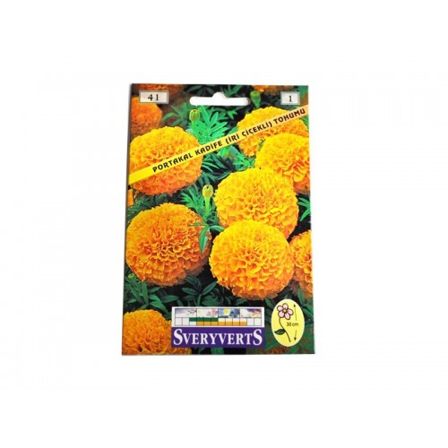 KADİFE ÇİÇEĞİ TOHUMU