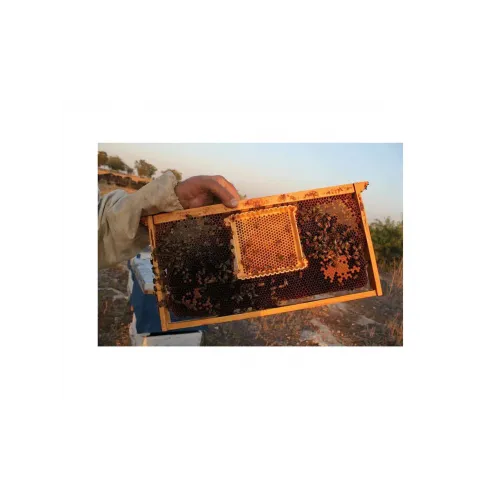 Profesyonel Ana Arı Süt Üretim Seti 02080