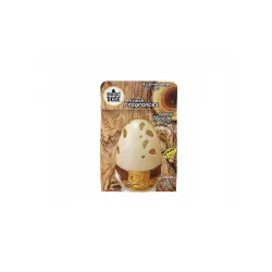 Autokit Magic Dose Klima Koku Odunsu  100 ml