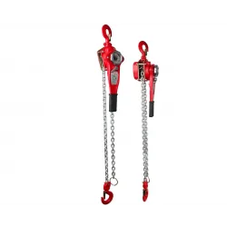 RAYNO Hubzug 3 Ton 1.5mt RYN11070