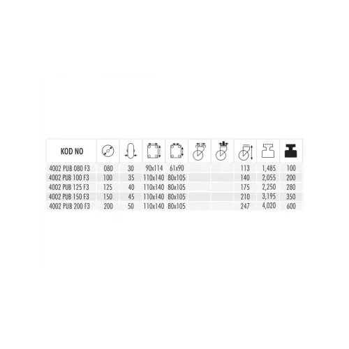 4002 PUB 100 F3 Poliamid Üzeri Poliüretan Kaplı Frenli Döner Teker