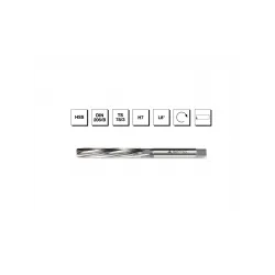 HSS DIN 206 Silindirik Saplı El Raybası 3 mm