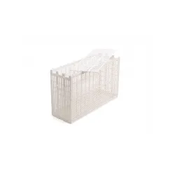 Ana Arı Hapsetme 3 Çerçeveli